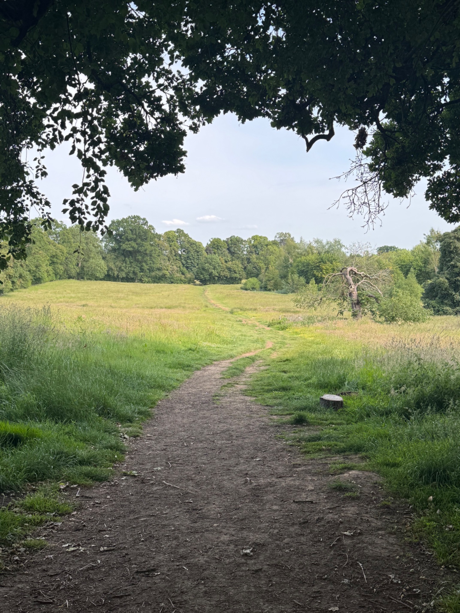 Peaceful countryside path