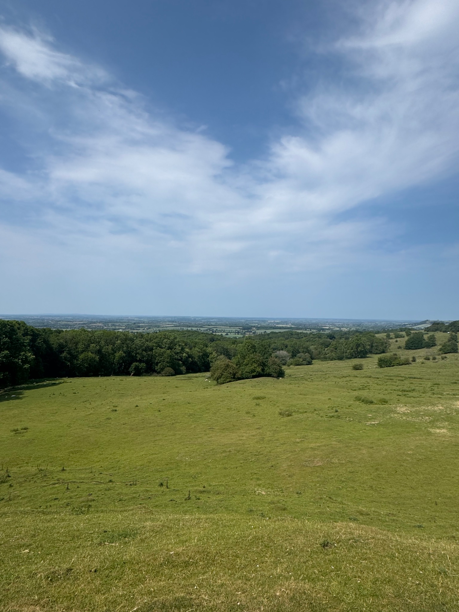 Open green Cotswold meadow